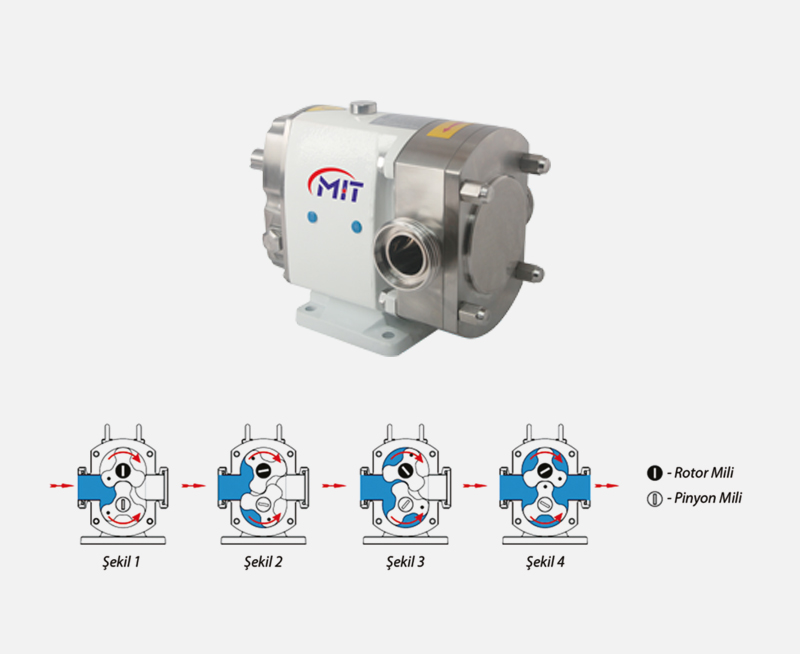 MIT Lobe Pumps Working Principle