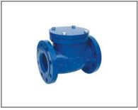 Types Of Check Valve