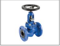 Types of Globe Valves 