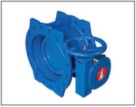 Truevalve Double Flanged Butterfly Valve