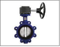 Truevalve Lug Type Gearbox Butterfly Valve