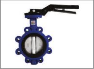 Truevalve Lug Type Butterfly Valve