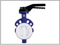 Truevalve Teflon Butterfly Valve