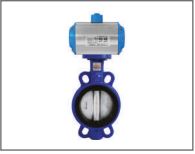 Truevalve Wafer Type Pneumatic Actuated Butterfly Valve