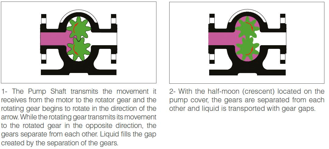 Helical And Spur - GEAR PUMPS