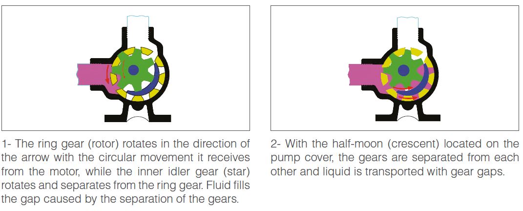 Internal Eccentric - GEAR PUMPS