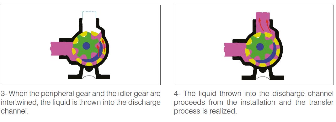 Internal Eccentric - GEAR PUMPS