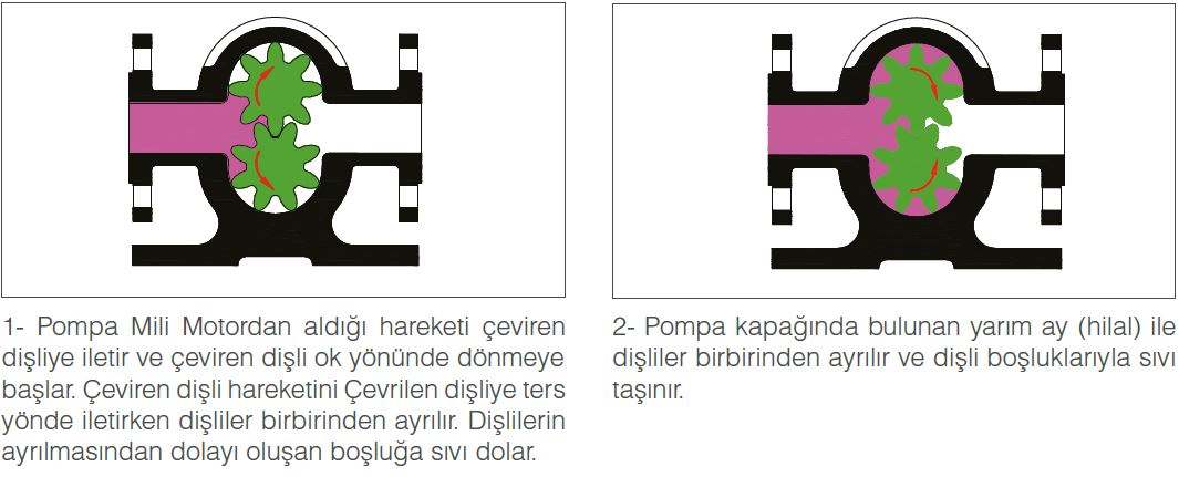 Helis ve Düz - DİŞLİ POMPALAR