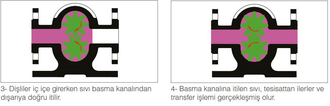 Helis ve Düz - DİŞLİ POMPALAR