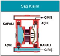 Ruby Hava Diyaframlı Pompalar