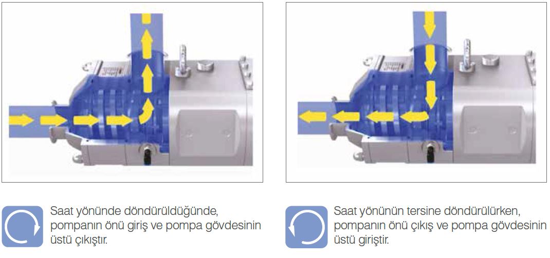 Çift VURGULU POMPA Nedir