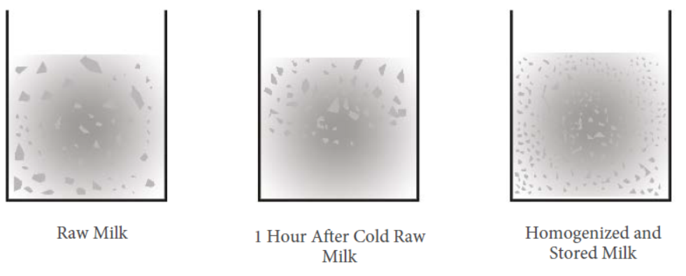 Homogenizer Raw Milk